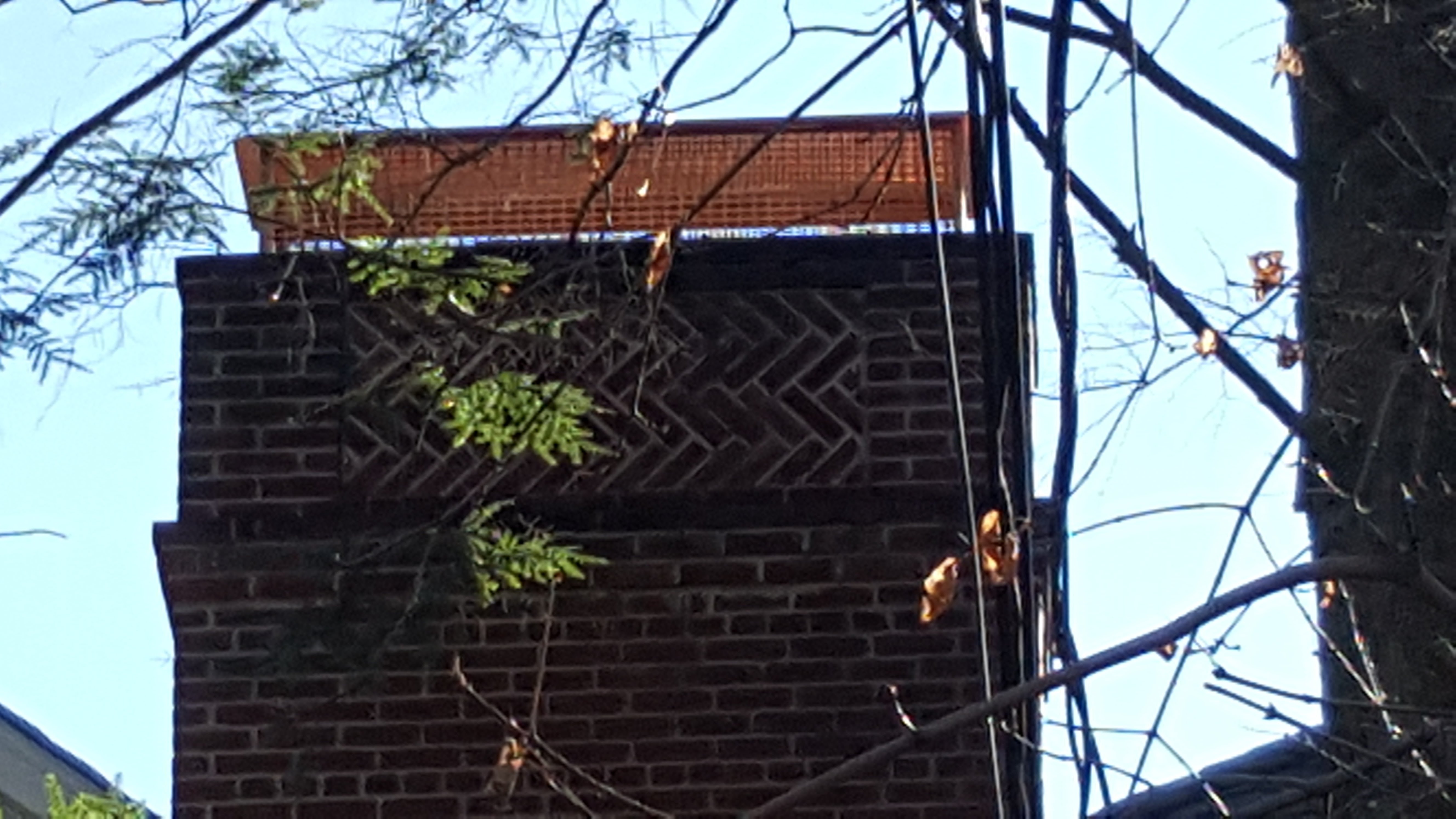 Animal-proof chimney cap protecting home in Lindenhurst, New York